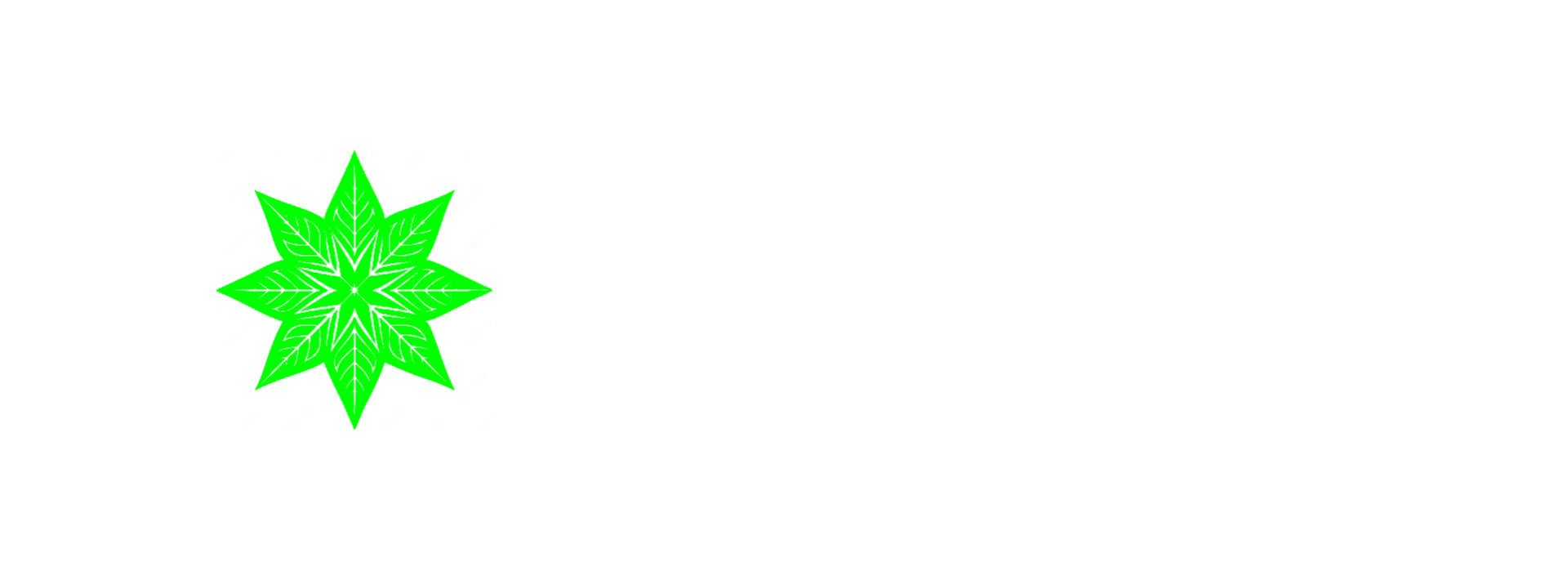 sudippalodhi.online
